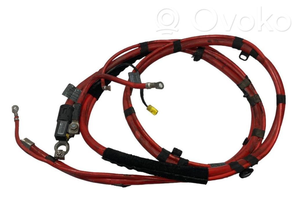 Plusa vads (akumulatora)