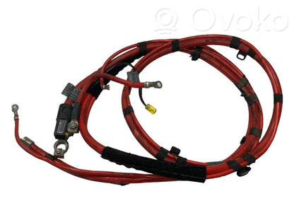 Plusa vads (akumulatora)