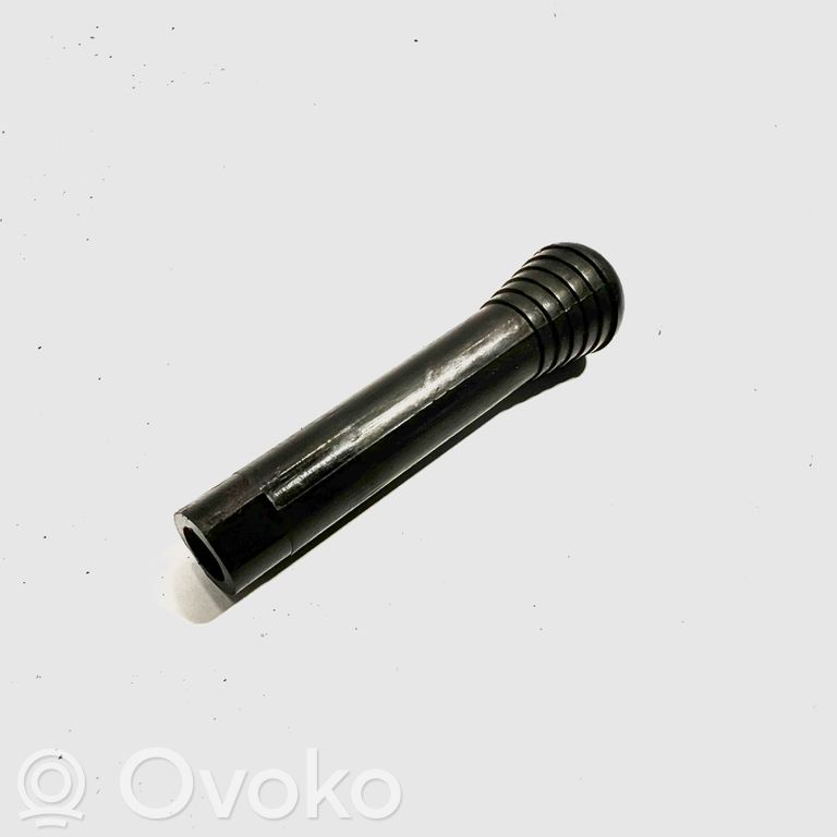 Cita veida priekšpusē durvju dekoratīvās apdares detaļa