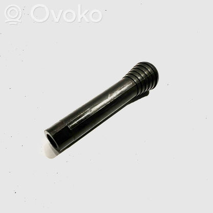 Cita veida priekšpusē durvju dekoratīvās apdares detaļa