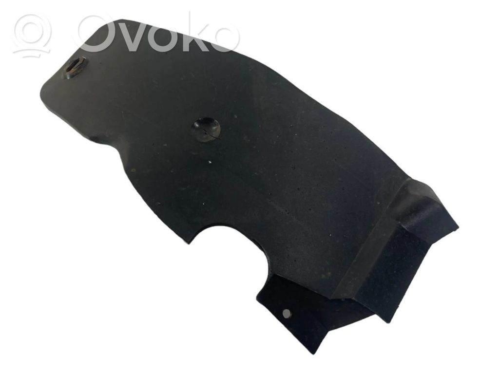 Aizmugurējais apakšspārns