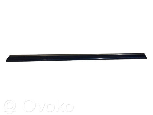 Rear door decorative trim (moulding)