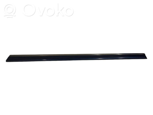 Aizmugurē durvju dekoratīvā apdare (moldings)