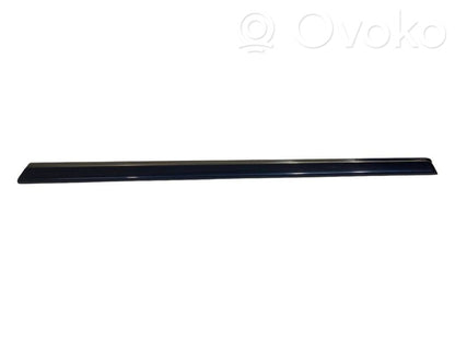 Aizmugurē durvju dekoratīvā apdare (moldings)