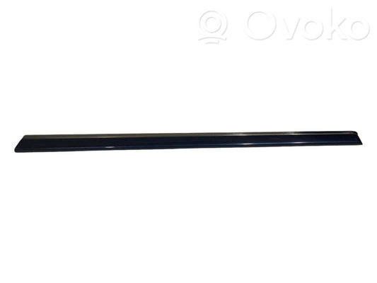 Aizmugurē durvju dekoratīvā apdare (moldings)