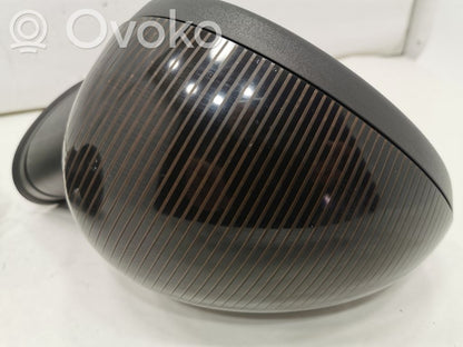 Spogulis (elektriski vadāms)