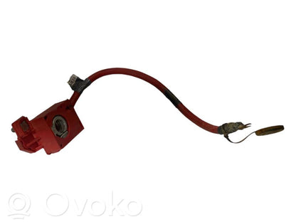 Plusa vads (akumulatora)