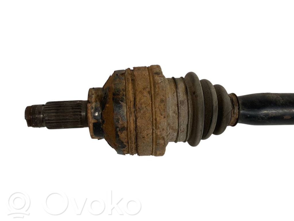 Aizmugurējā pusass