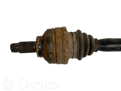 Aizmugurējā pusass