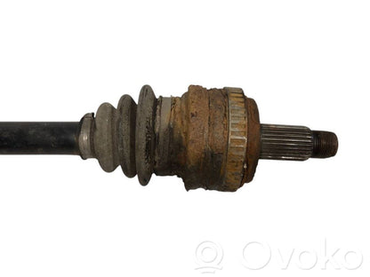 Aizmugurējā pusass