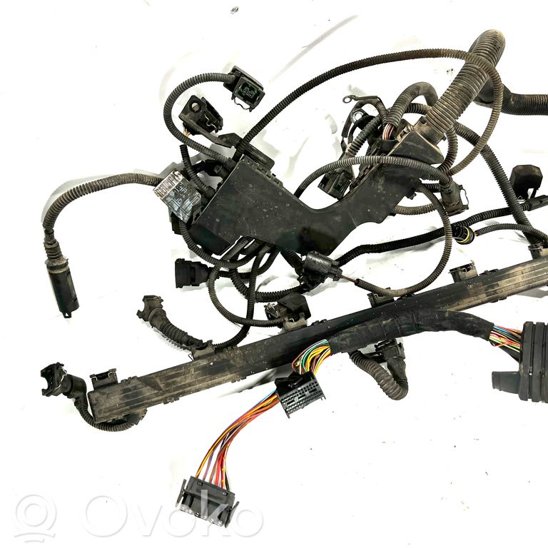 Engine wiring harness