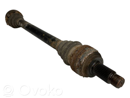 Aizmugurējā pusass