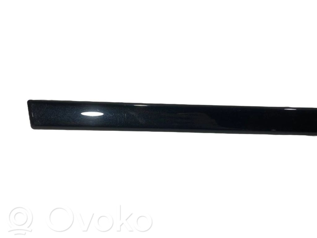 Aizmugurē durvju dekoratīvā apdare (moldings)