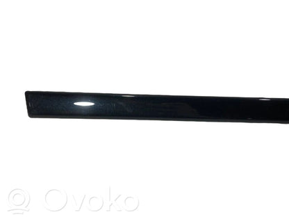 Aizmugurē durvju dekoratīvā apdare (moldings)