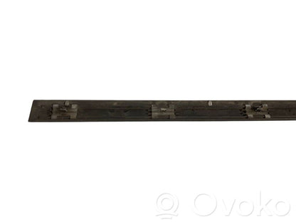 Aizmugurē durvju dekoratīvā apdare (moldings)