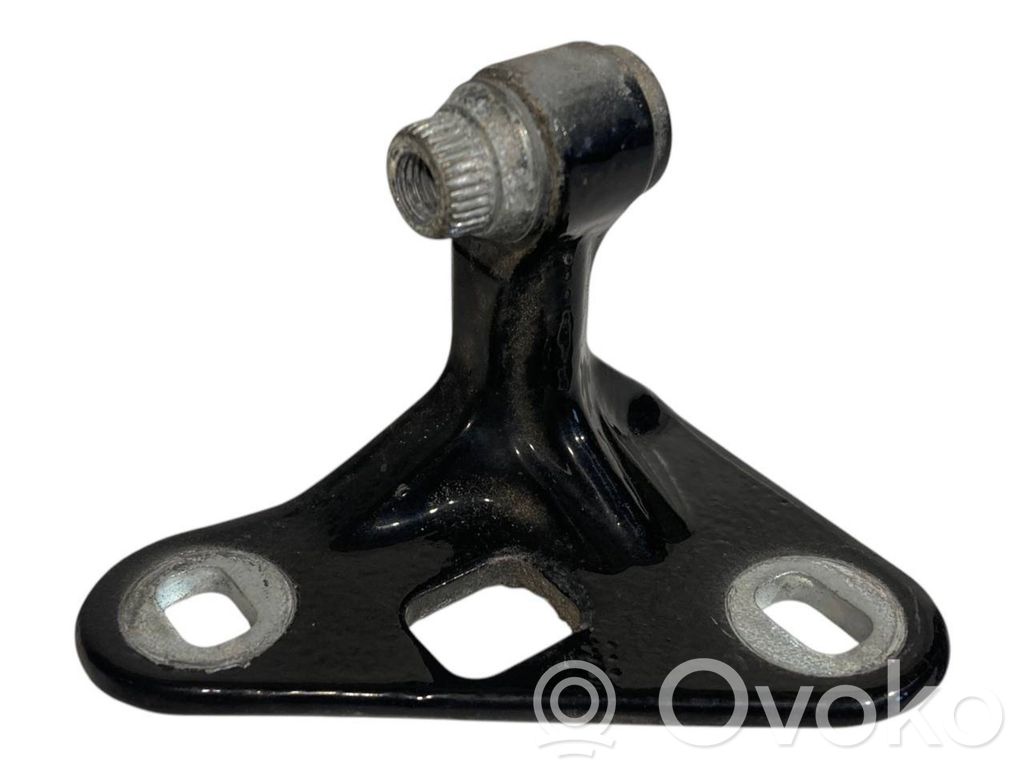 Front lower hinge