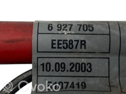 Plusa vads (akumulatora)