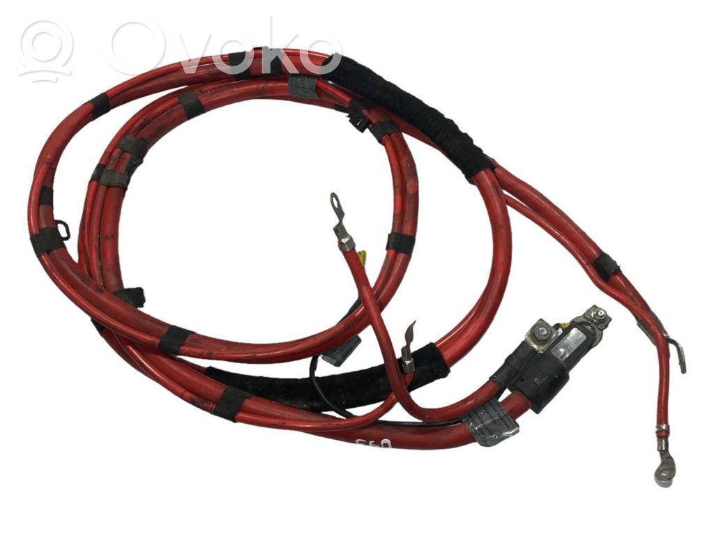 Plusa vads (akumulatora)