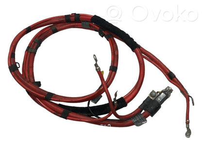 Plusa vads (akumulatora)