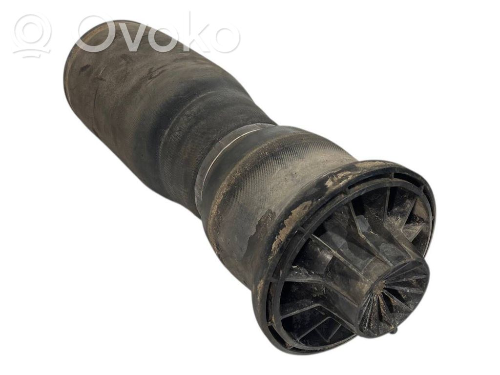 Aizmugurē gaisa spilvens