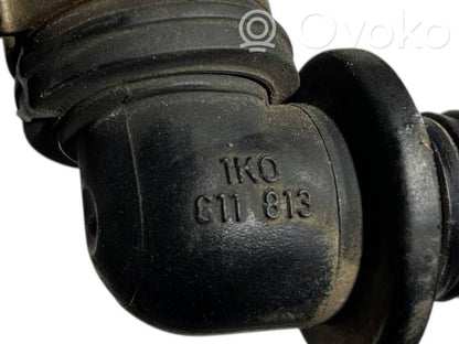 Caurulīte (-es) / šļūtene (-es)
