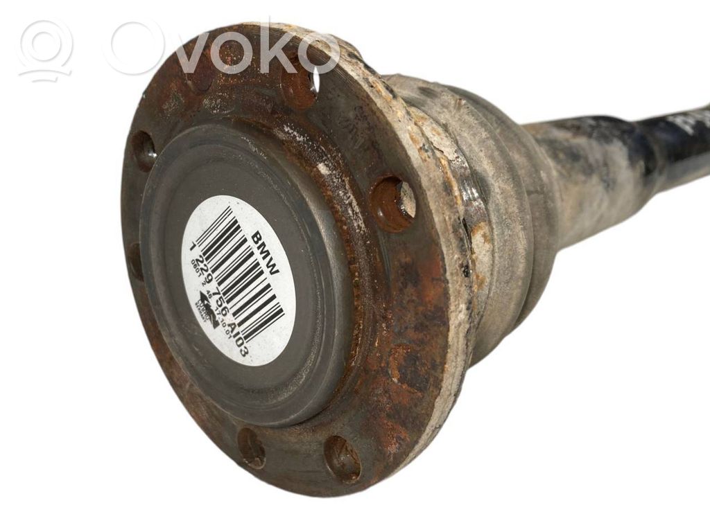 Aizmugurējā pusass