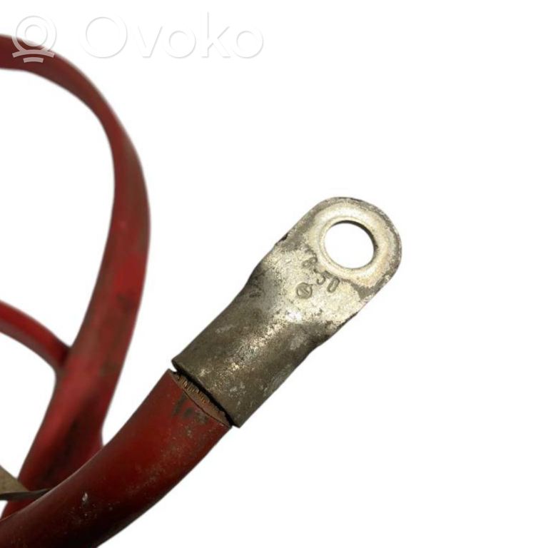 Plusa vads (akumulatora)