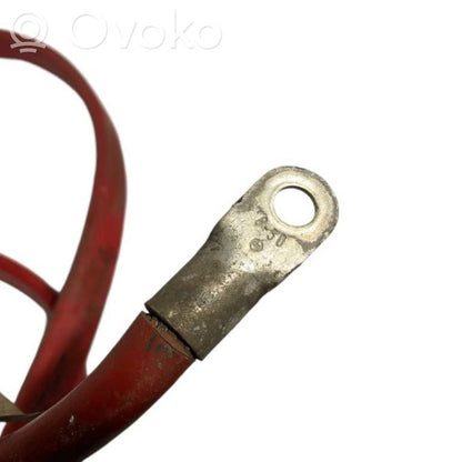 Plusa vads (akumulatora)