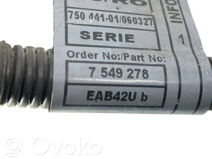 Engine wiring harness