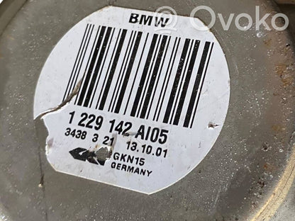 Aizmugurējā pusass