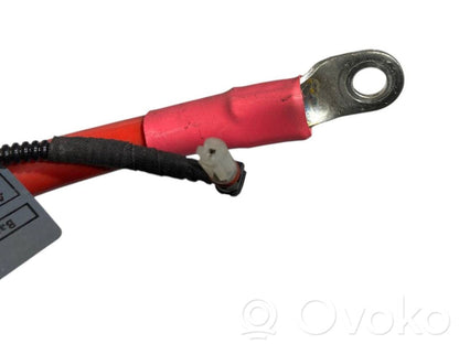 Positive wire (battery)