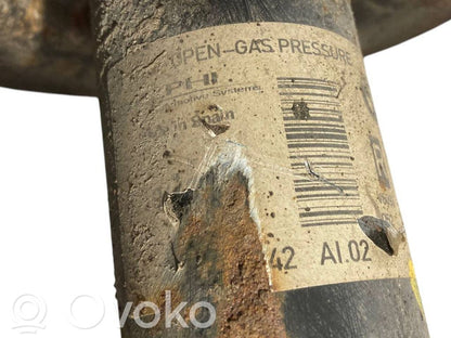 Front shock absorber with spring