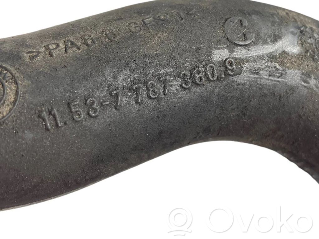 Caurulīte (-es) / šļūtene (-es)