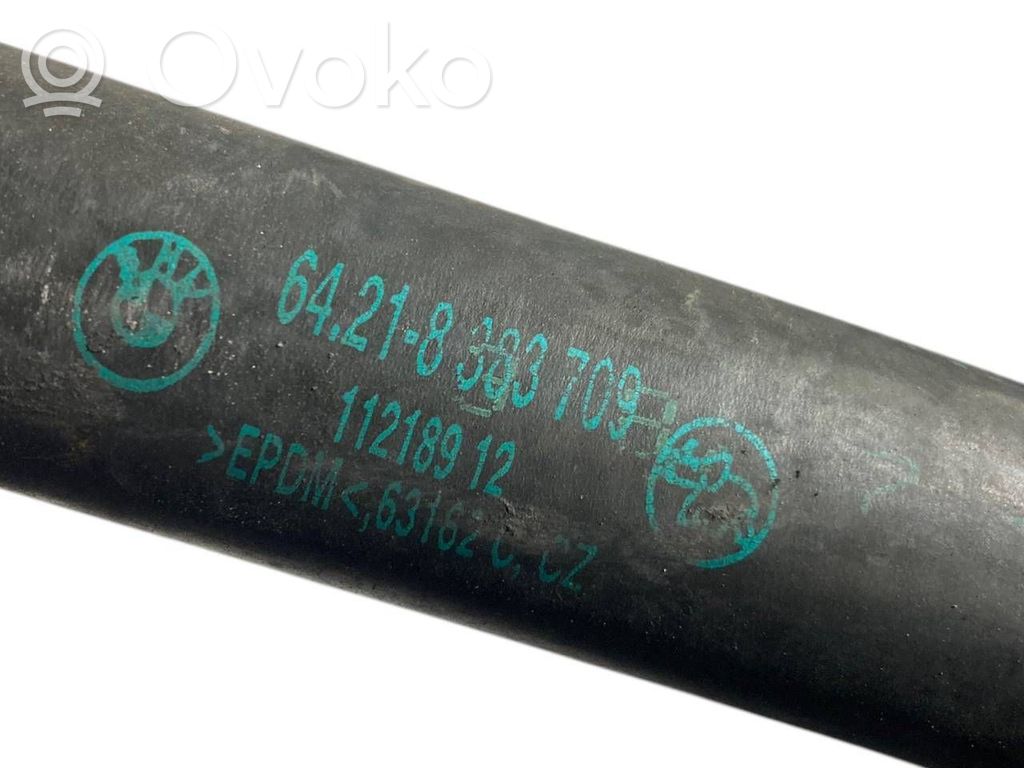 Caurulīte (-es) / šļūtene (-es)