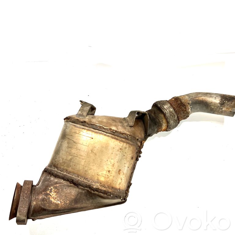 Catalyst, FAP/DPF particulate filter