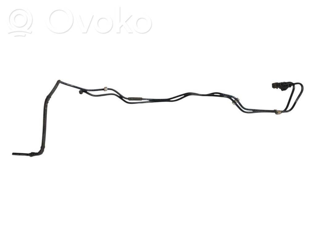 Caurule (-es) / šļūtene (-es)