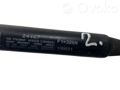 Engine hood damper