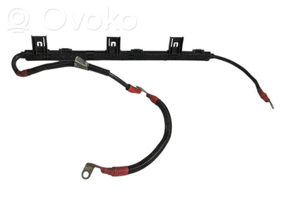 Plusa vads (akumulatora)