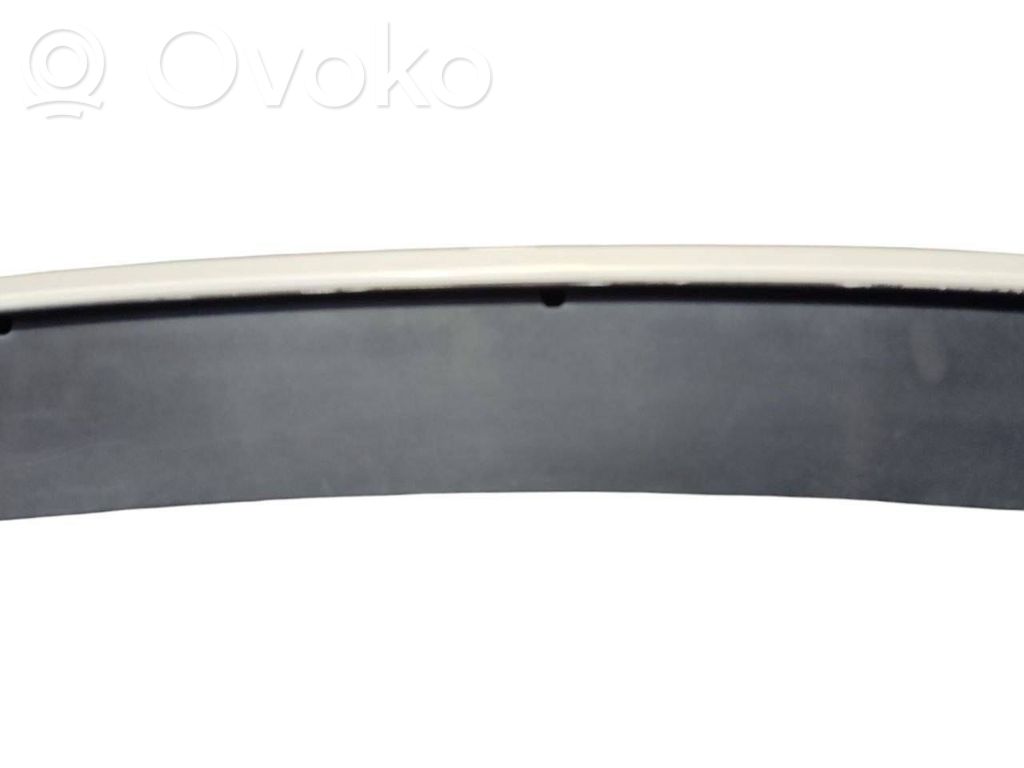 Trunk decorative trim