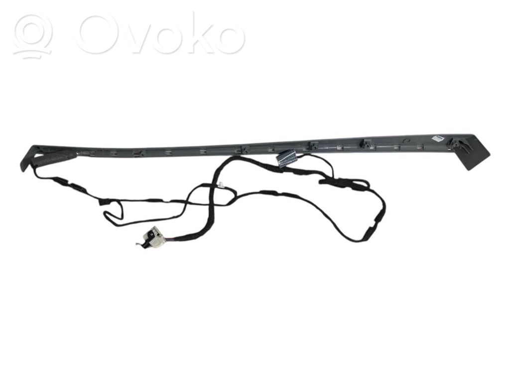 Cita veida aizmugurē durvju dekoratīvās apdares detaļas