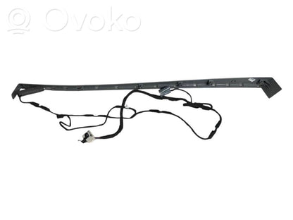 Cita veida aizmugurē durvju dekoratīvās apdares detaļas