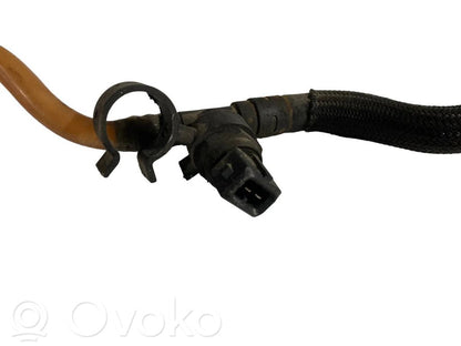 Caurule (-es) / šļūtene (-es)