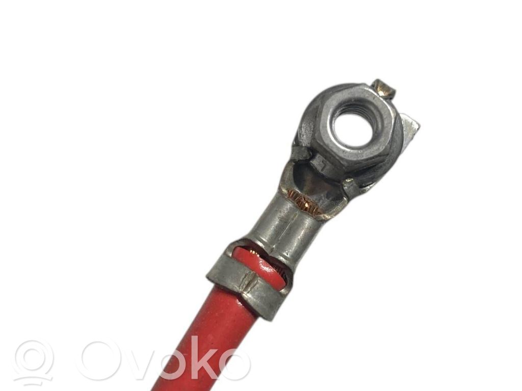 Plusa vads (akumulatora)