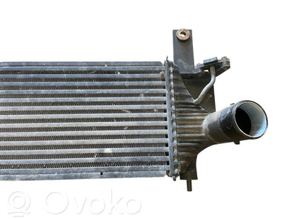 Starpdzesētāja radiators