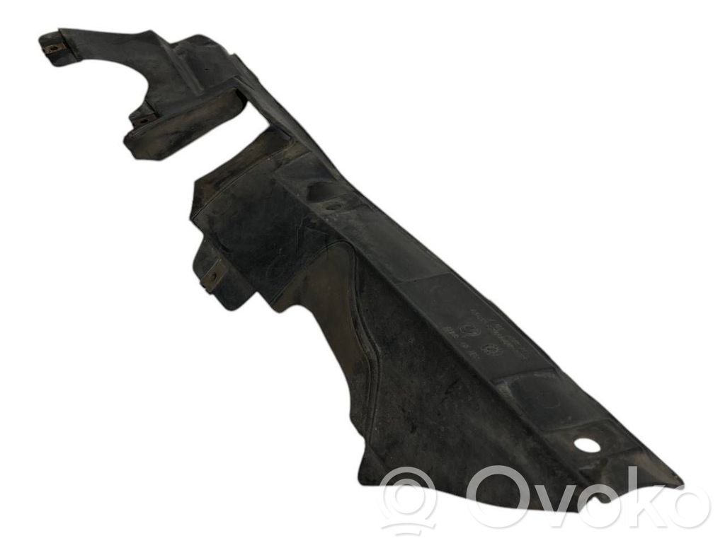 Under engine guard (front)