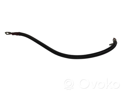 Plusa vads (akumulatora)