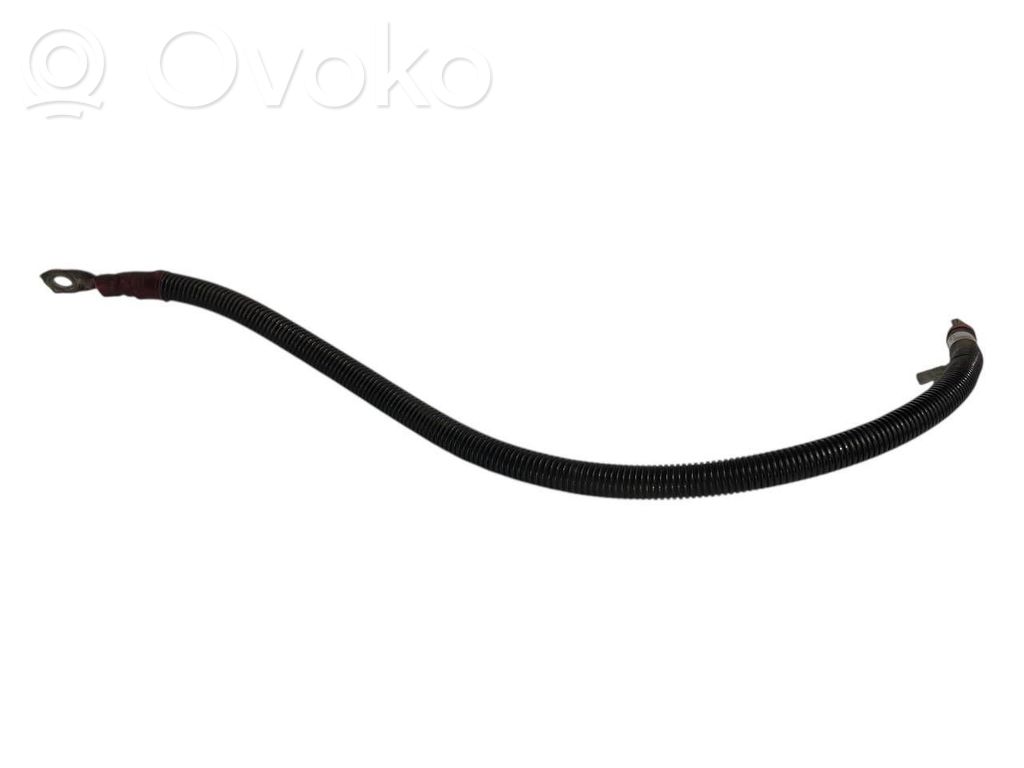 Plusa vads (akumulatora)