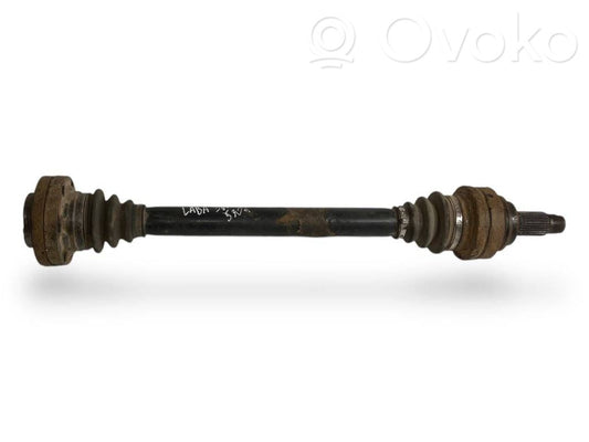 Aizmugurējā pusass