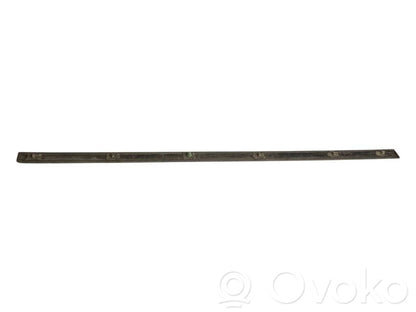 Front door decorative trim (molding)