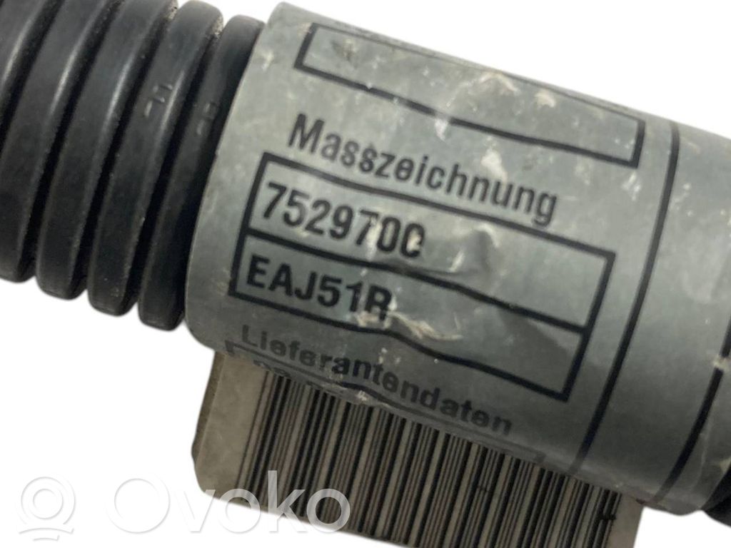 Engine wiring harness